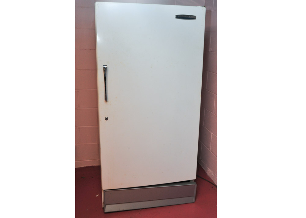 Sears Coldspot Freezer