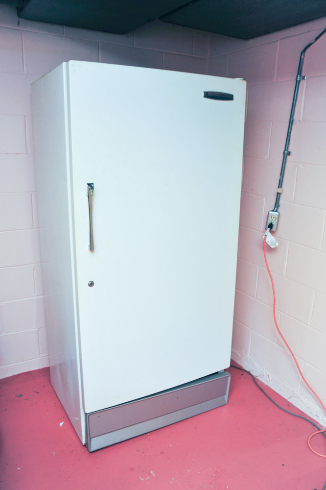 Sears Coldspot Freezer