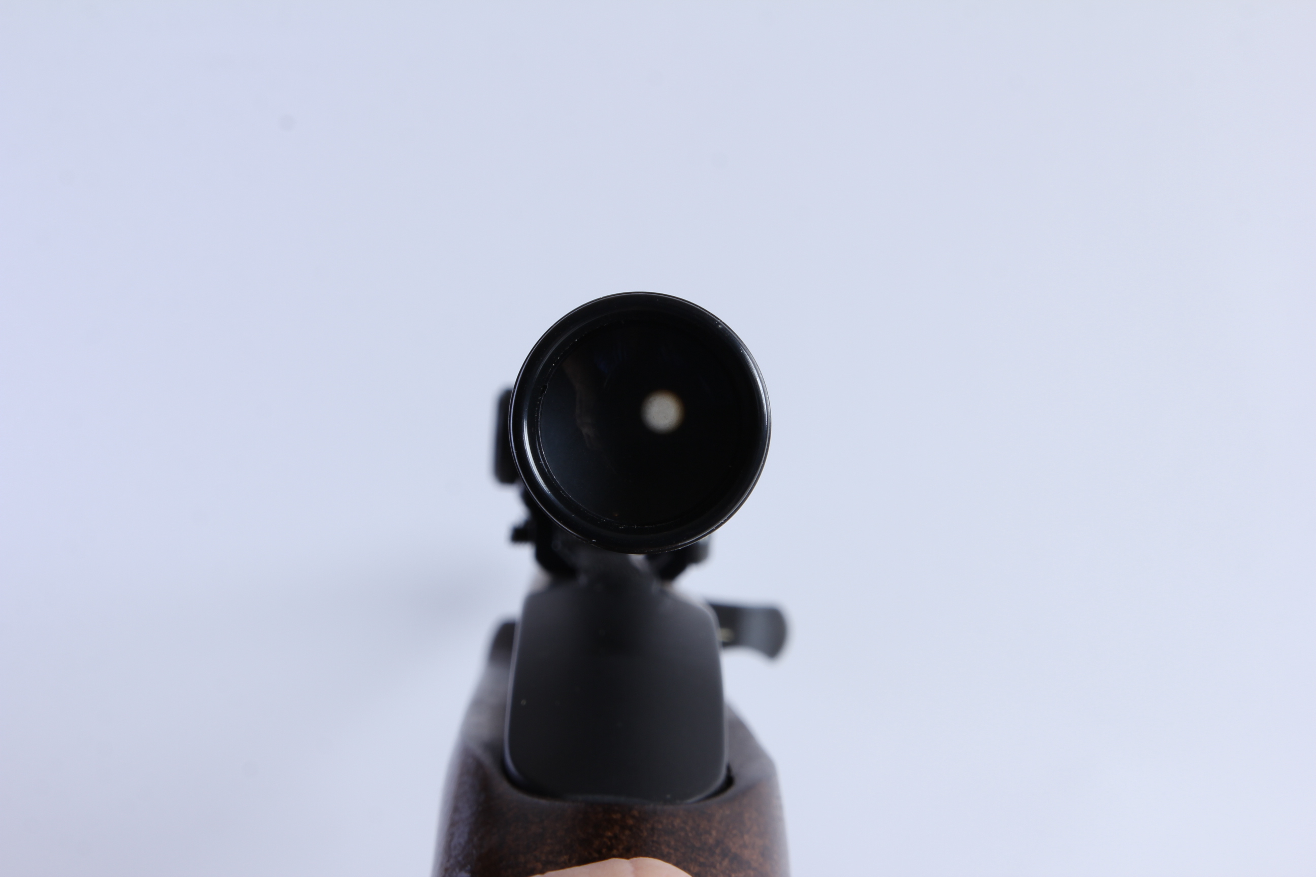 Marlin Glenfield 22 Caliber Rifle and Case