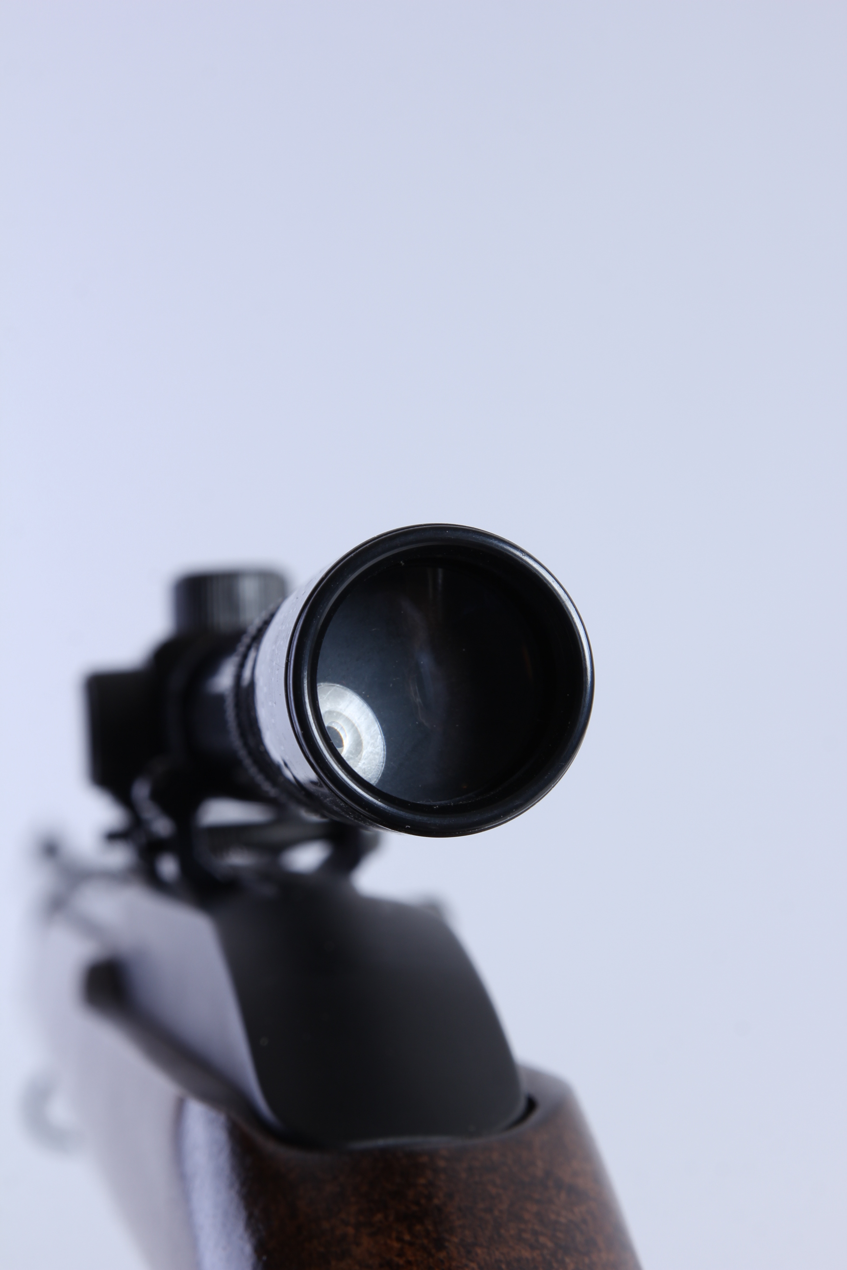 Marlin Glenfield 22 Caliber Rifle and Case