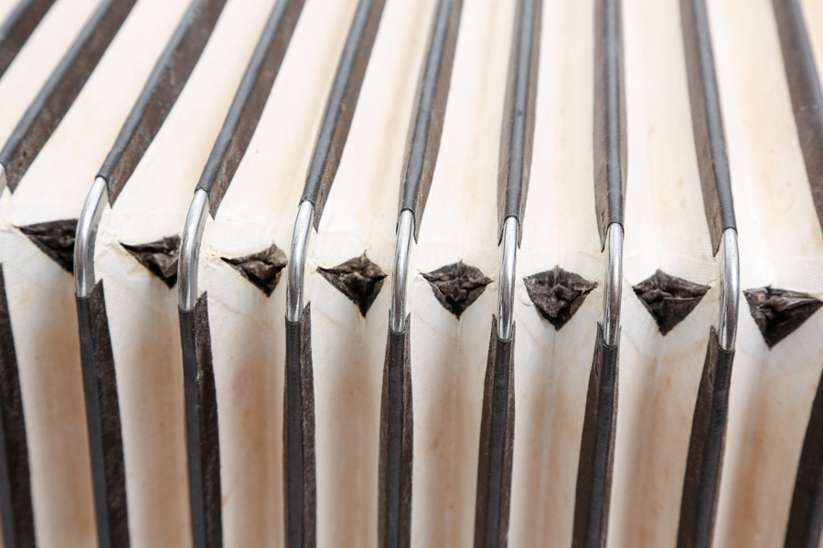 Vintage Italian Accordion