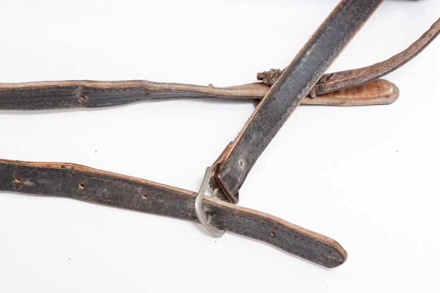 Vintage Italian Accordion