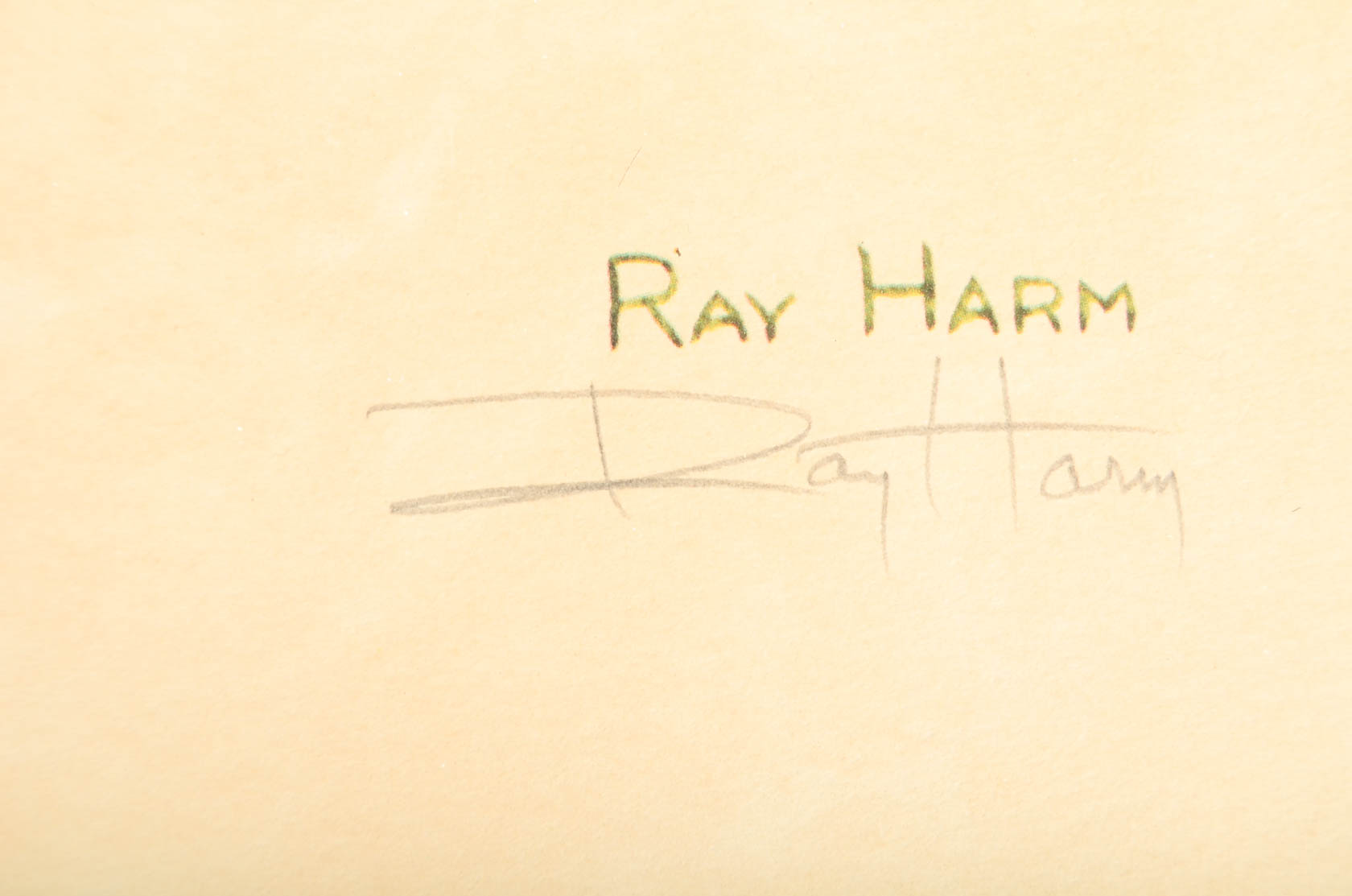 Collection of Ray Harm Bird Prints