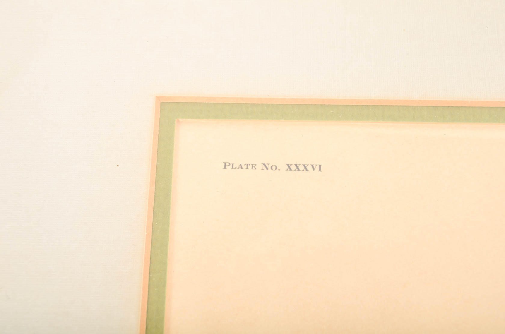 Collection of Ray Harm Bird Prints