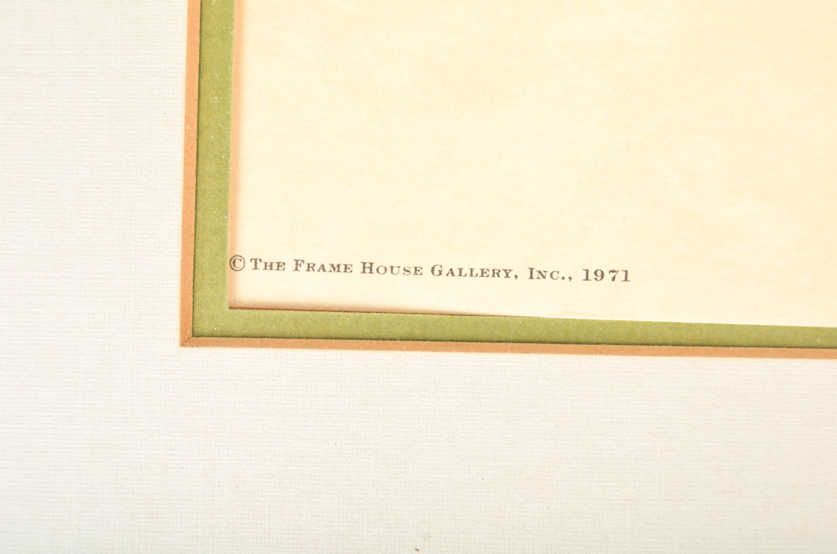 Collection of Ray Harm Bird Prints