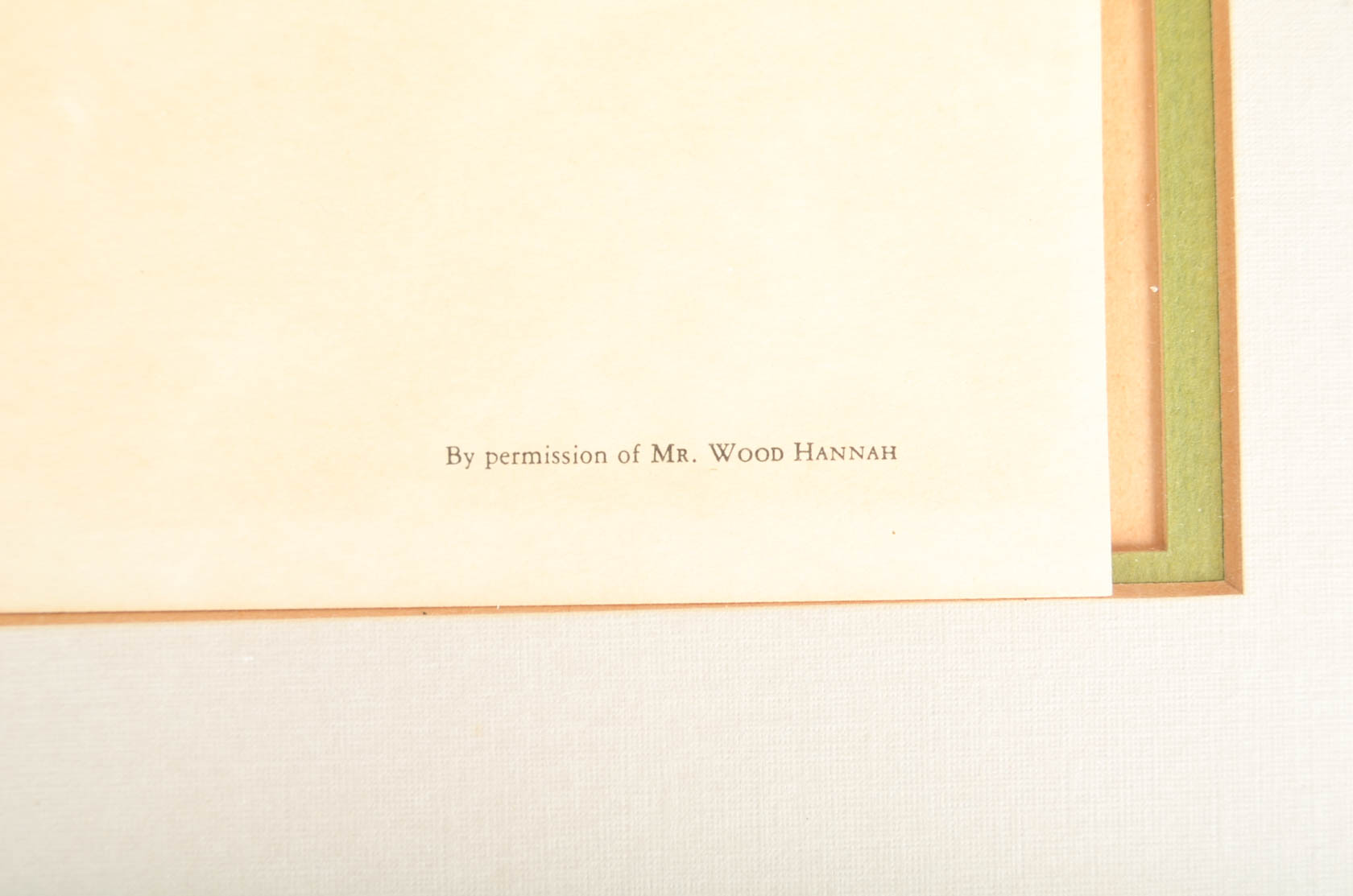 Collection of Ray Harm Bird Prints