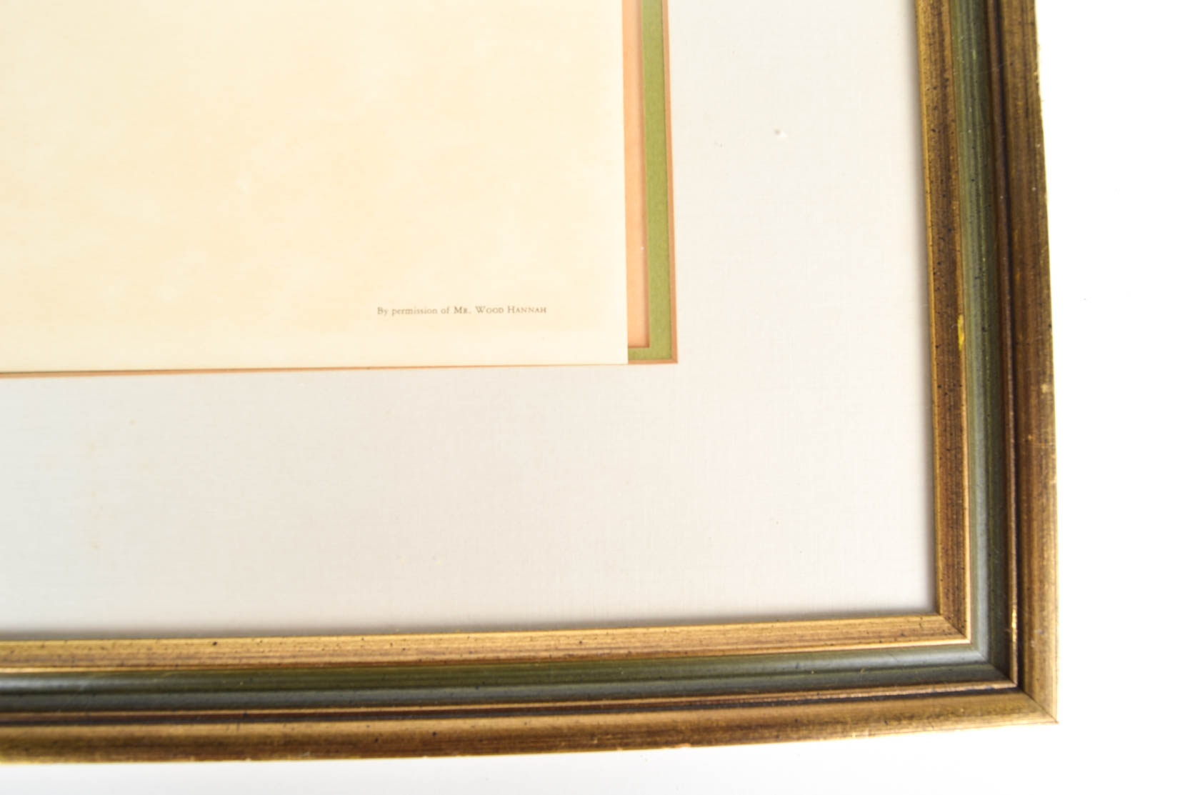 Collection of Ray Harm Bird Prints