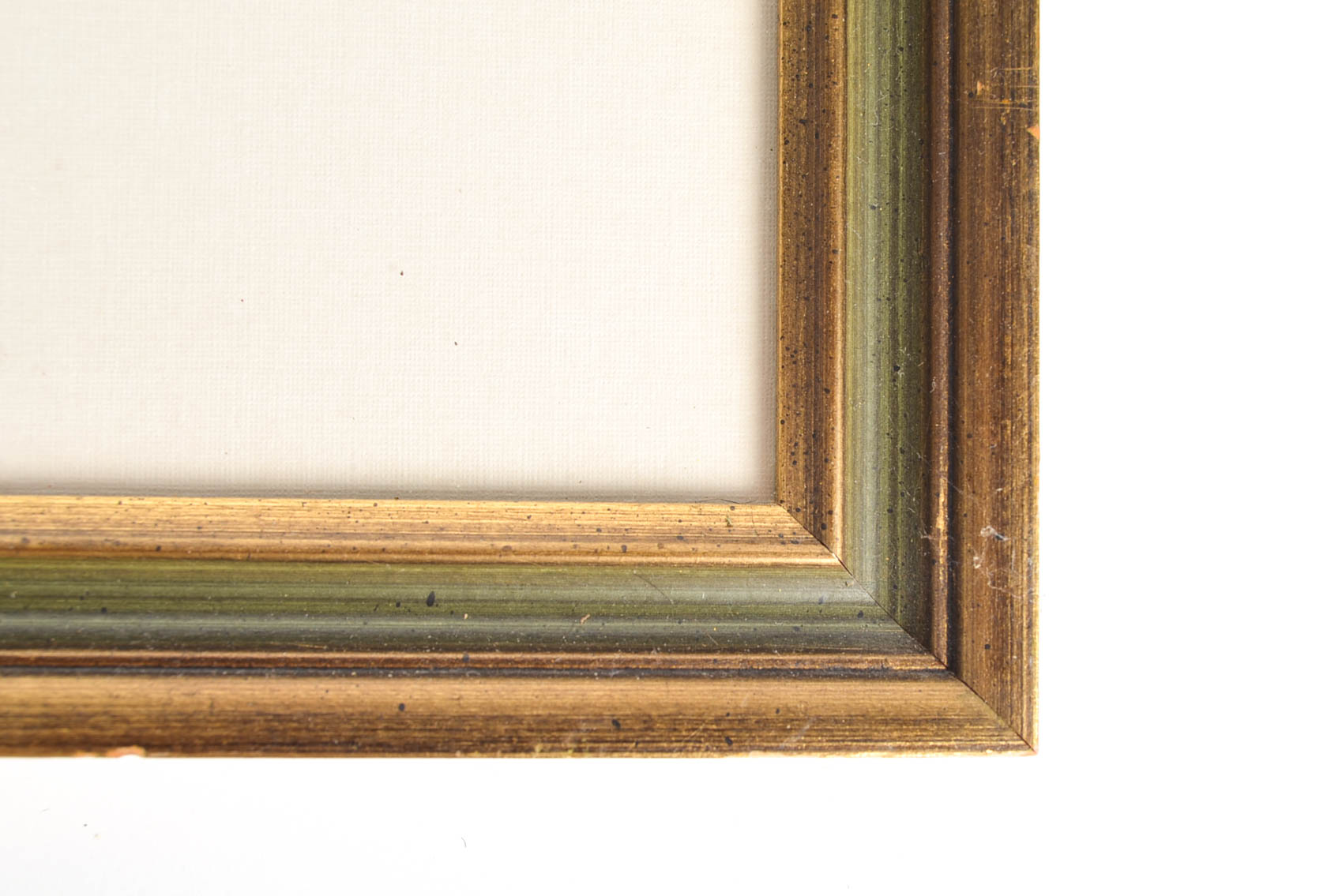 Collection of Ray Harm Bird Prints