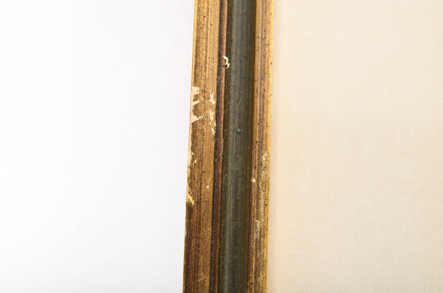 Collection of Ray Harm Bird Prints