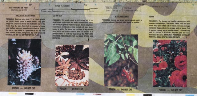 US Military Evasion Chart for Desert Storm
