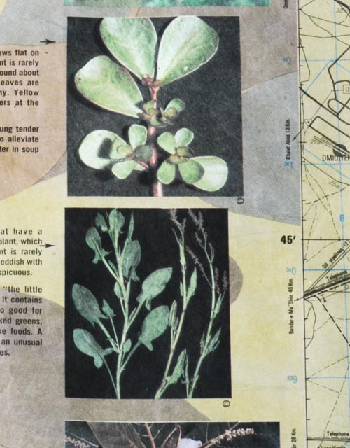 US Military Evasion Chart for Desert Storm