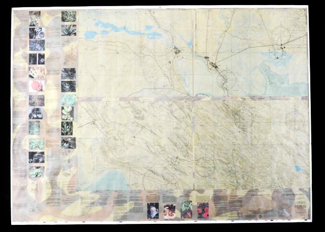 US Military Evasion Chart for Desert Storm