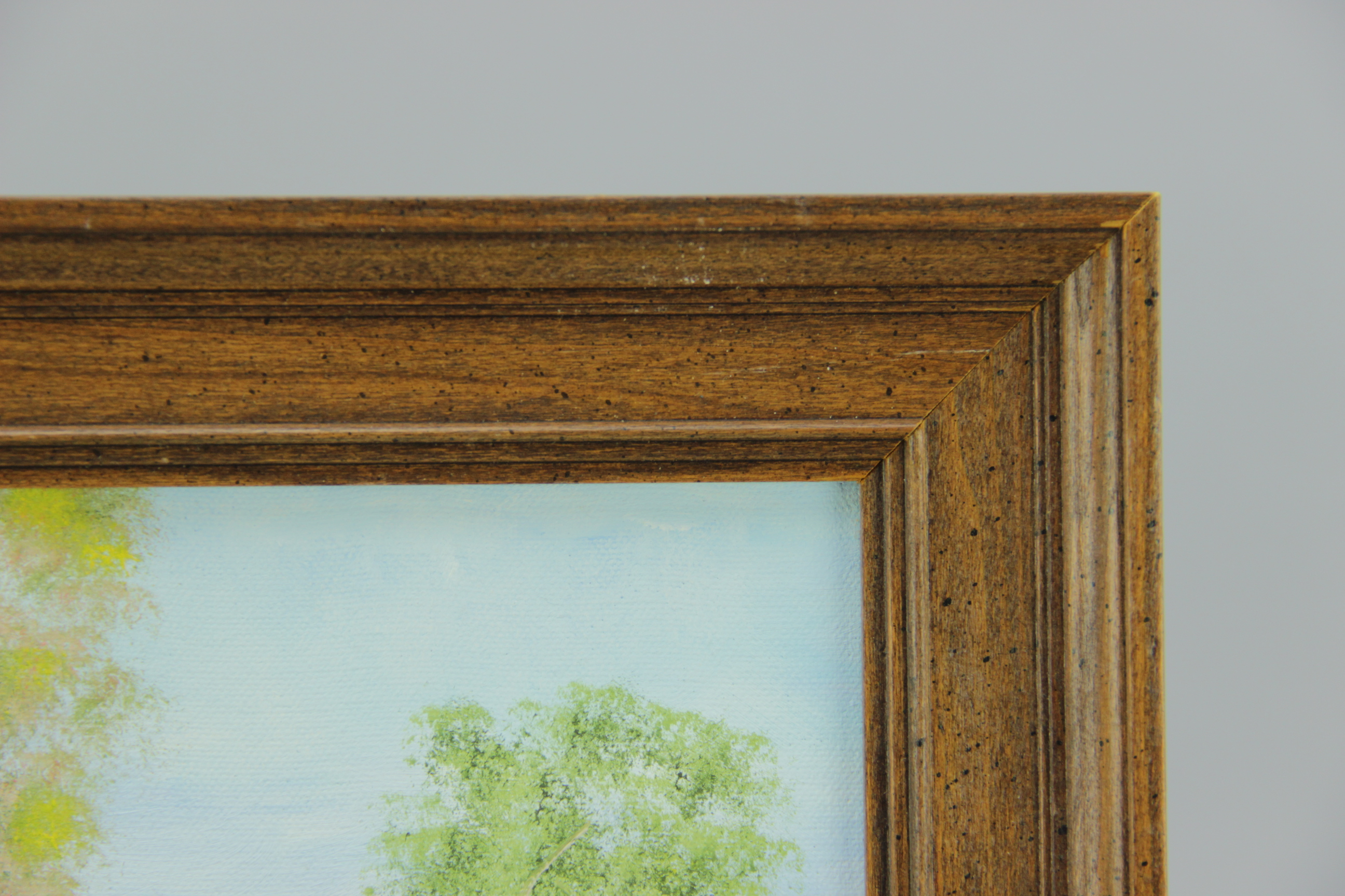 Three Decorative Framed Paintings