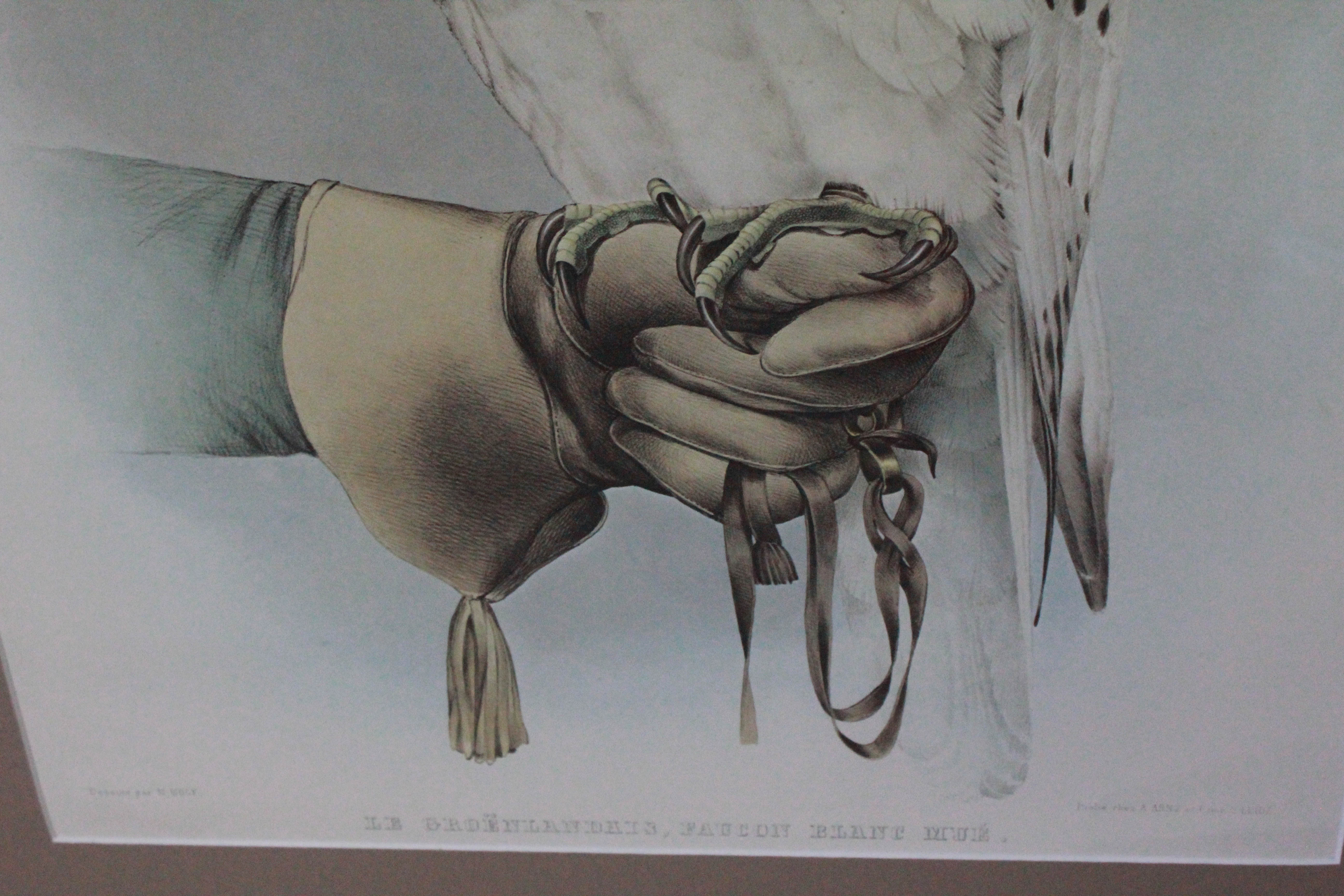 McGuffey's Eclectic Readers Set