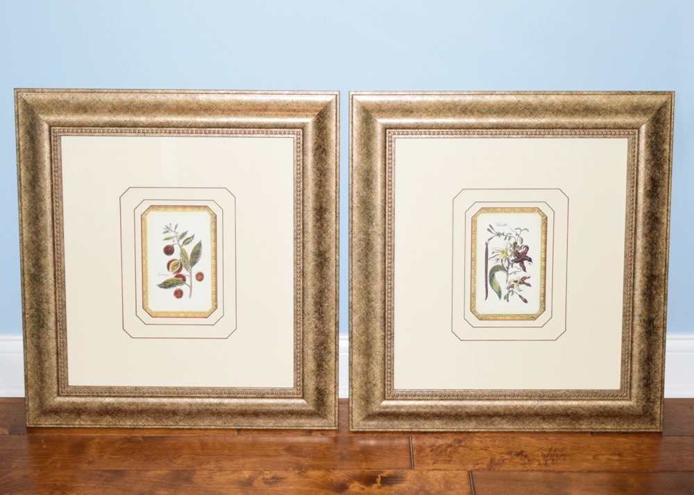 Pair of Matching Prints in Gold-Tone and Black Frame