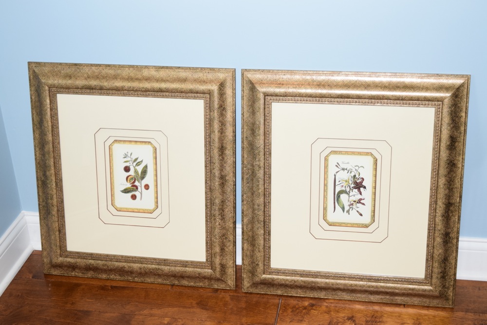 Pair of Matching Prints in Gold-Tone and Black Frame