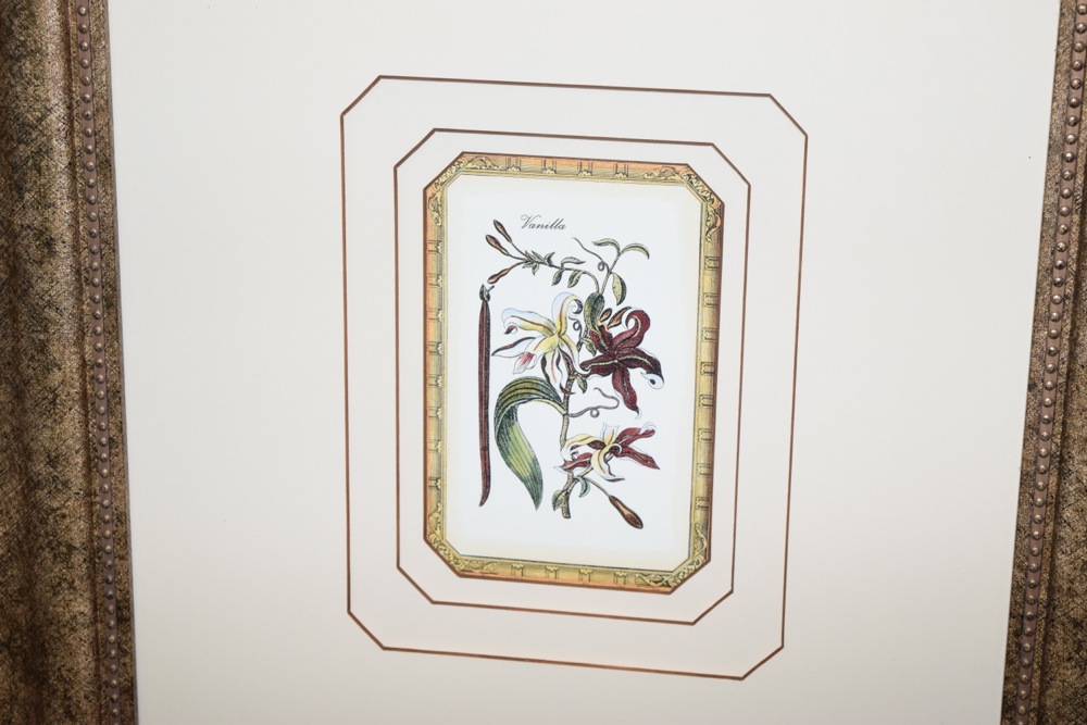 Pair of Matching Prints in Gold-Tone and Black Frame