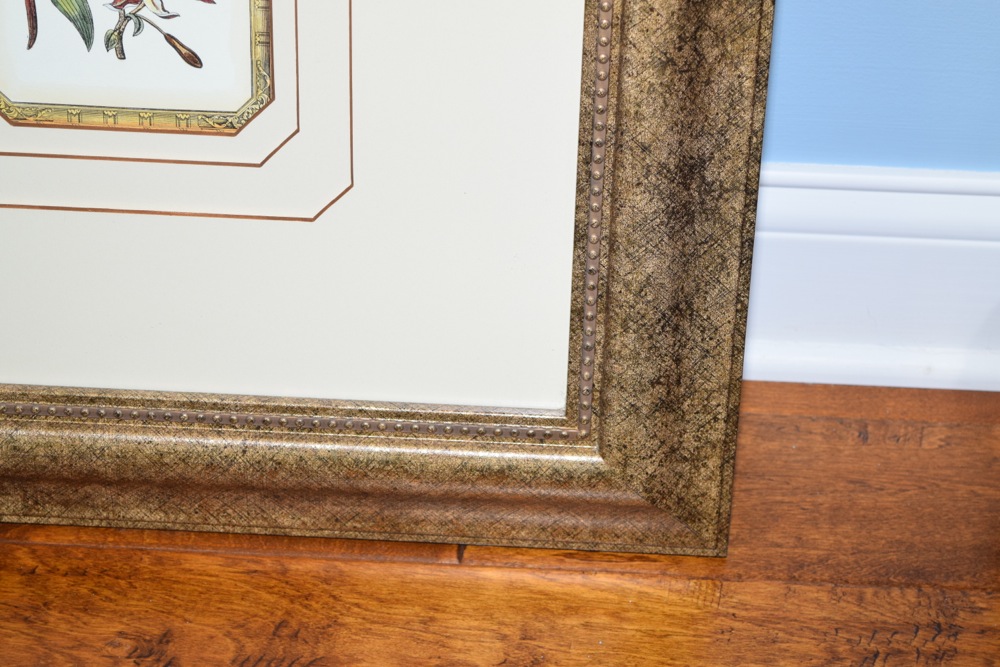 Pair of Matching Prints in Gold-Tone and Black Frame