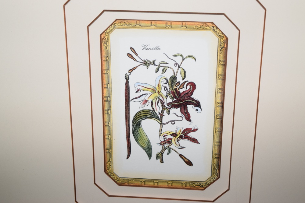 Pair of Matching Prints in Gold-Tone and Black Frame