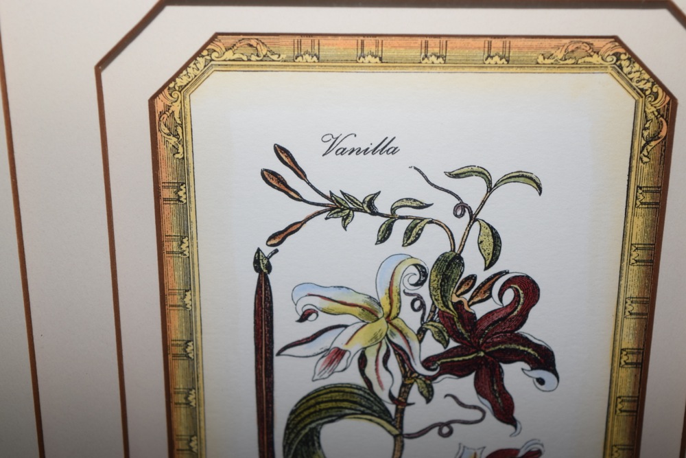 Pair of Matching Prints in Gold-Tone and Black Frame