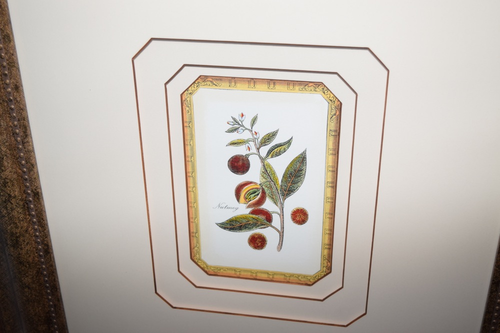 Pair of Matching Prints in Gold-Tone and Black Frame