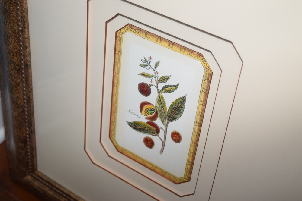 Pair of Matching Prints in Gold-Tone and Black Frame