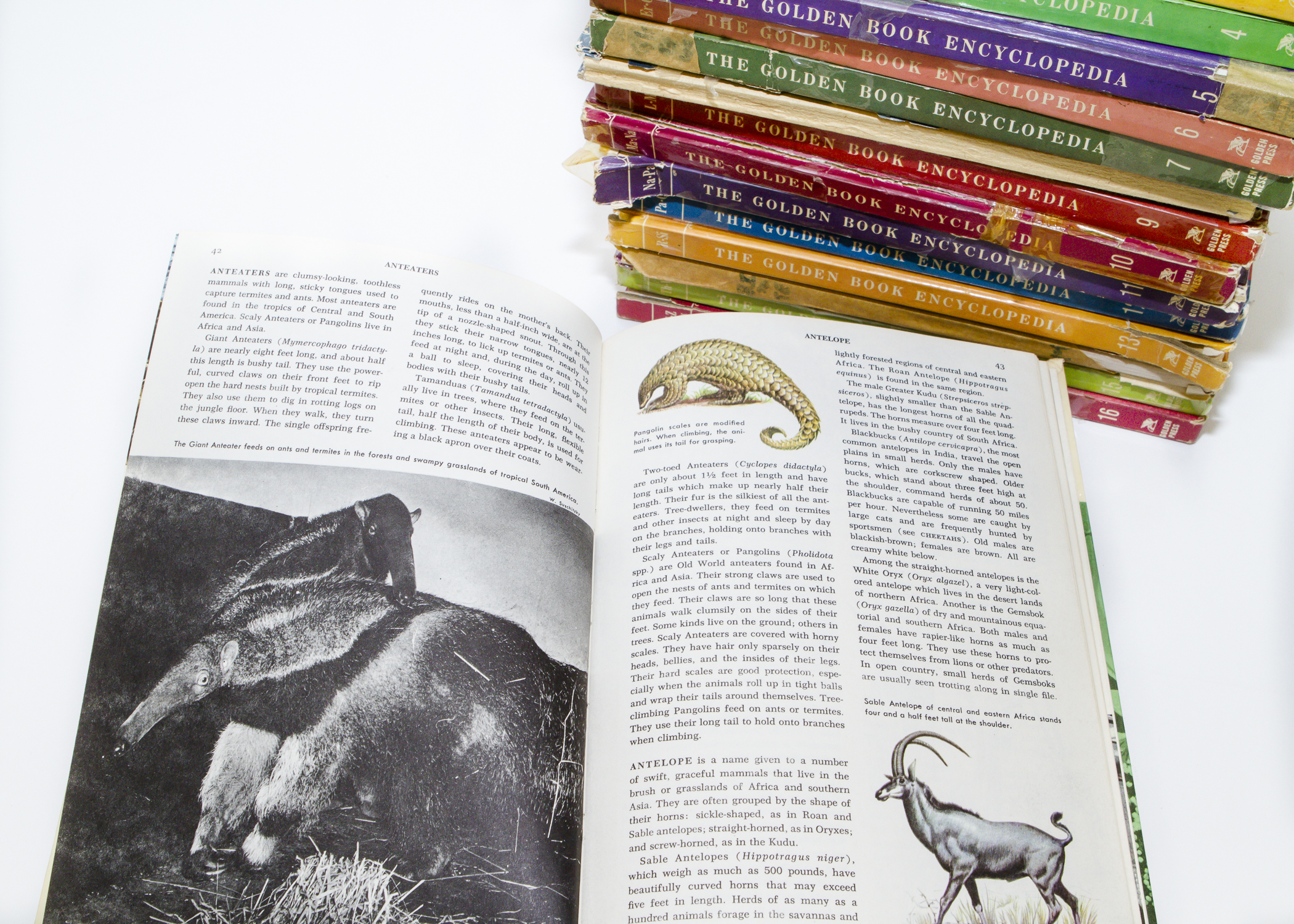 Vintage Set of Golden Book Encyclopedias