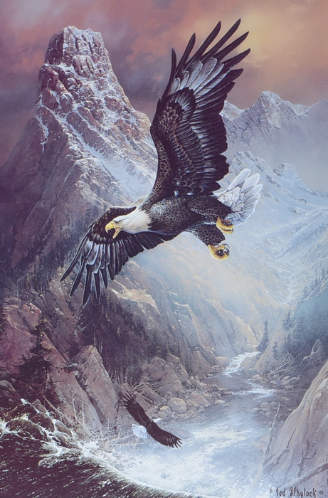 Ted Blaylock "To Save the Eagle, Proud and Free" Signed Print