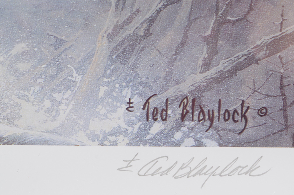 Ted Blaylock "To Save the Eagle, Proud and Free" Signed Print