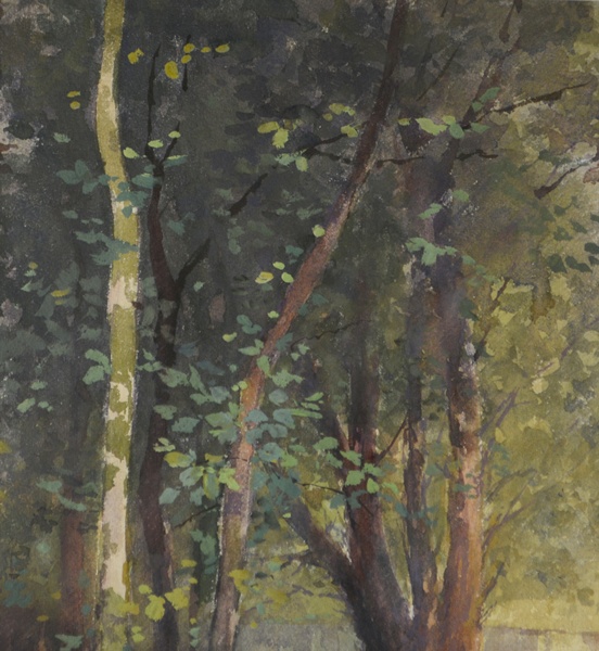 Paul Ashbrook Original Watercolor "Birch Trees"