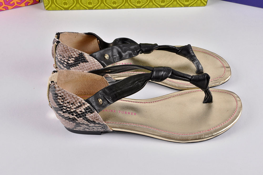 Collection of Women's Summer Shoes