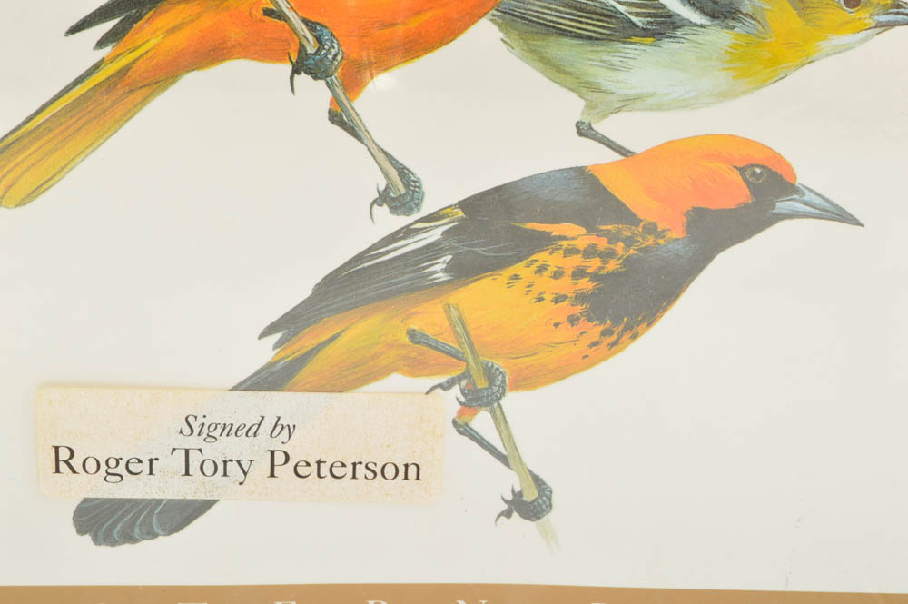 Signed Roger Tory Peterson Birdwatching Art Book