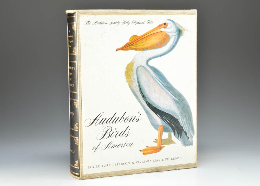 Audobon's Birds of America