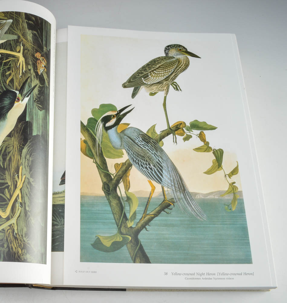 Audobon's Birds of America