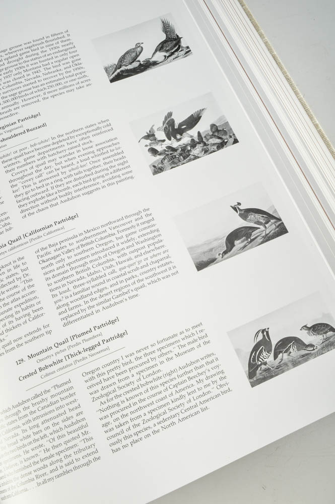 Audobon's Birds of America