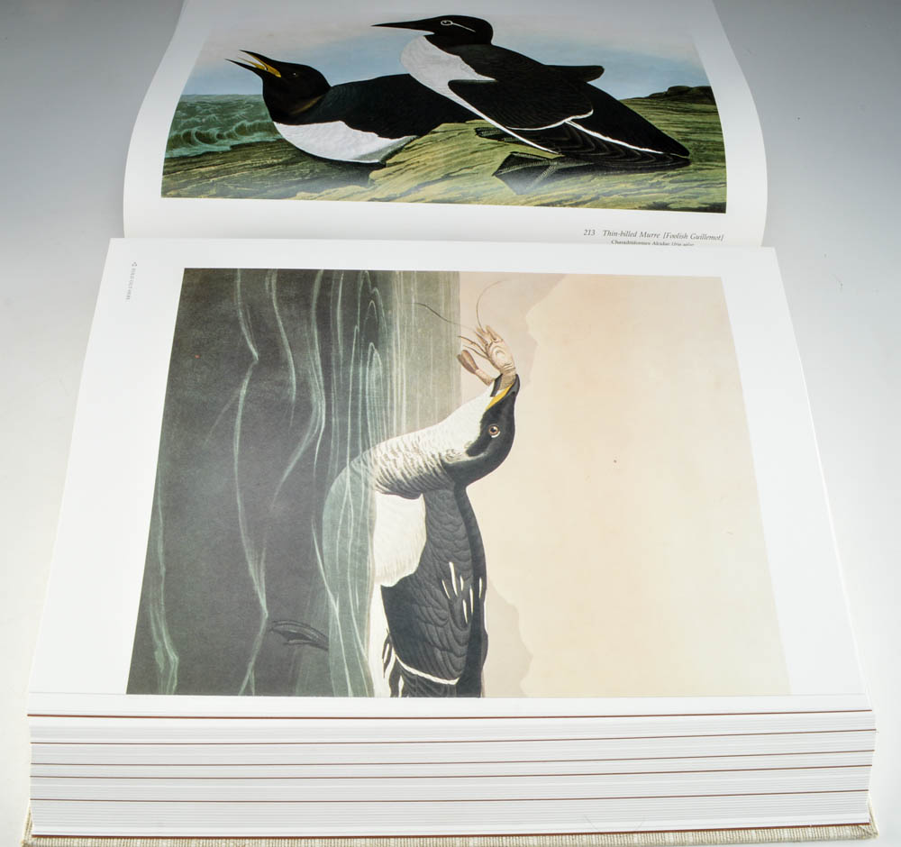 Audobon's Birds of America