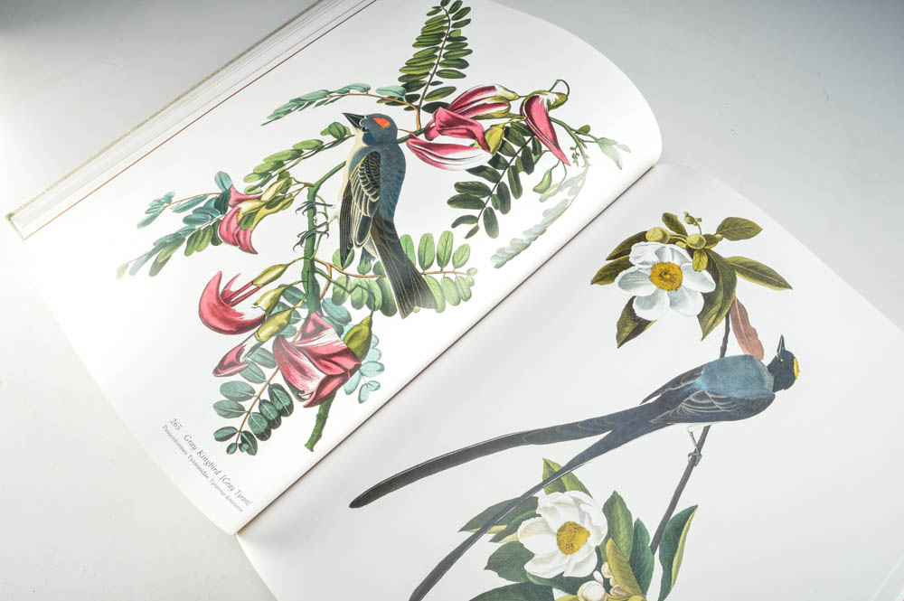 Audobon's Birds of America