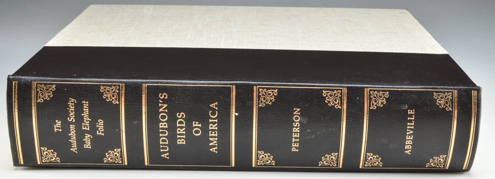 Audobon's Birds of America