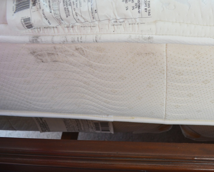 Simmons Beautyrest King Mattress and Box Springs With Plush Pad