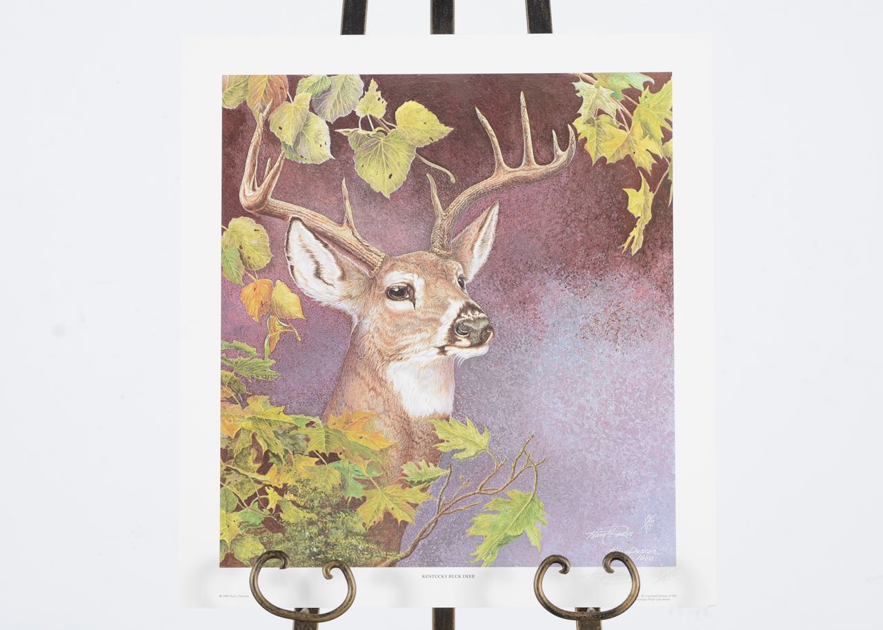 Harry Duncan Print "Kentucky Buck Deer"