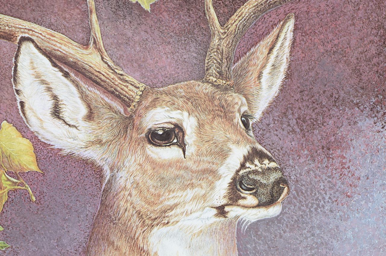 Harry Duncan Print "Kentucky Buck Deer"