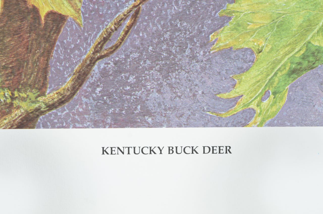 Harry Duncan Print "Kentucky Buck Deer"