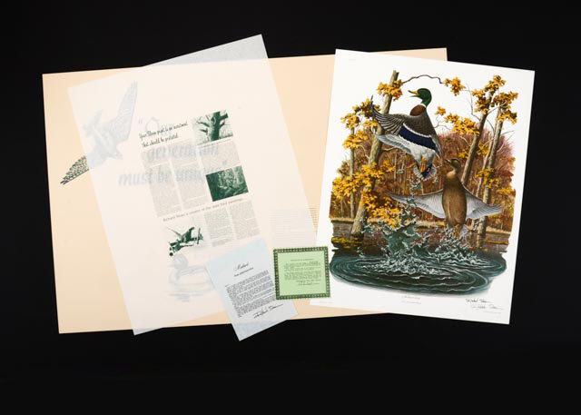 Richard Sloan Signed Lithography Print w/ COA, "Mallard Duck"