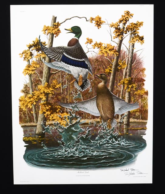 Richard Sloan Signed Lithography Print w/ COA, "Mallard Duck"