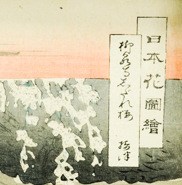 Ogata Gekkō "Nihon Hana Zue" Japanese Woodblock Print
