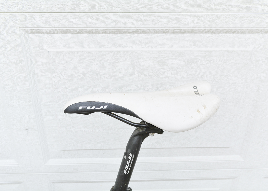 Fuji Roubaix Pro Road Bike