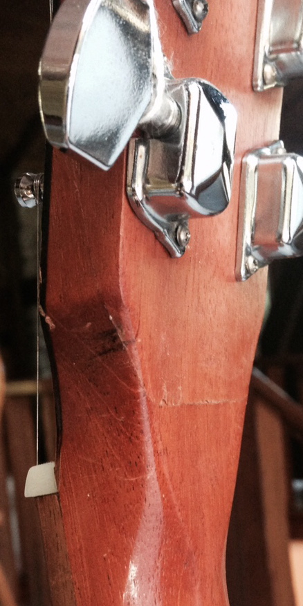 Seagull Menestrel Acoustic Guitar