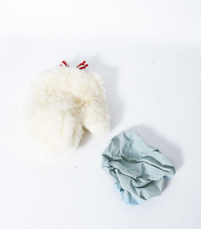 Waxmaster Random Orbit Waxer/ Polisher