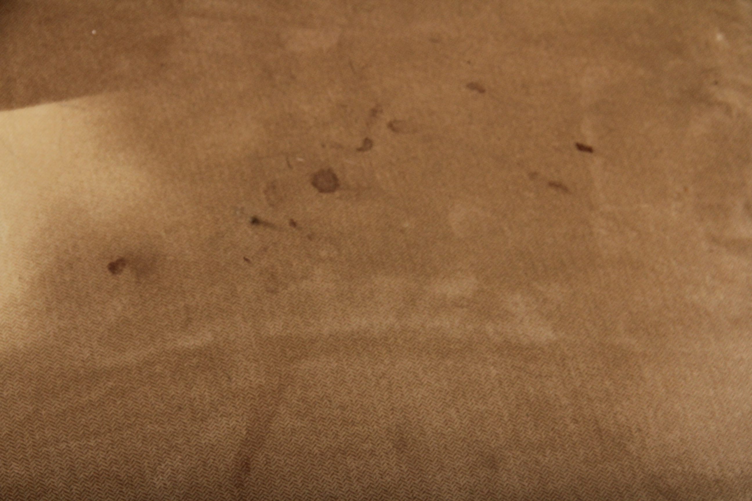 Macy's Modern Concepts Sectional Sofa