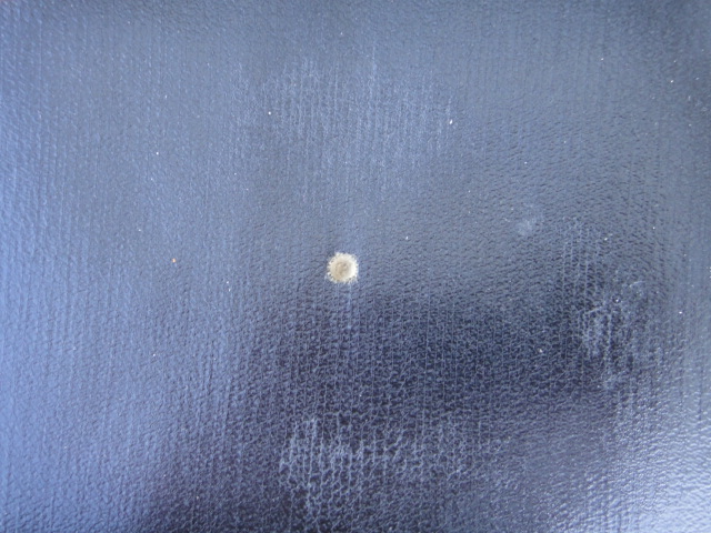 Six 19th Century Stomps Burkhardt Side Chairs